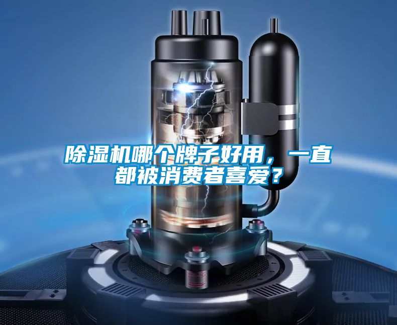 除濕機哪個牌子好用，一直都被消費者喜愛？