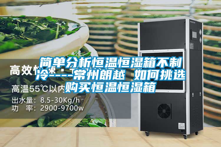簡(jiǎn)單分析恒溫恒濕箱不制冷----常州朗越 如何挑選購(gòu)買恒溫恒濕箱