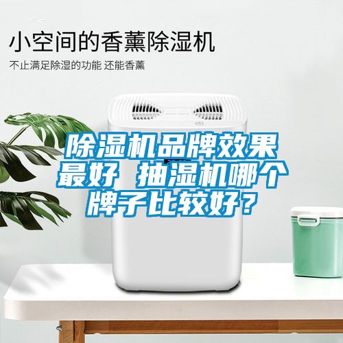 除濕機(jī)品牌效果最好 抽濕機(jī)哪個(gè)牌子比較好？