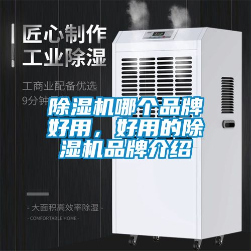 除濕機(jī)哪個(gè)品牌好用，好用的除濕機(jī)品牌介紹