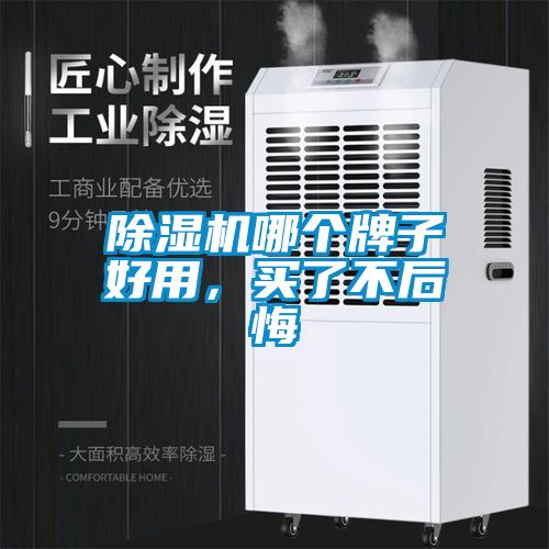 除濕機哪個牌子好用，買了不后悔