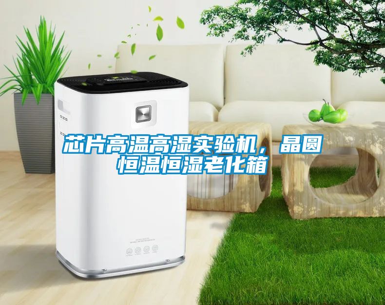 芯片高溫高濕實驗機，晶圓恒溫恒濕老化箱
