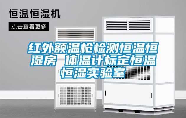 紅外額溫槍檢測恒溫恒濕房 體溫計標(biāo)定恒溫恒濕實驗室