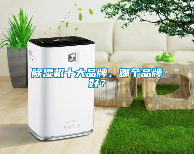除濕機十大品牌，哪個品牌好？
