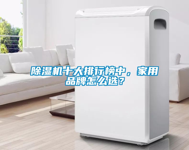 除濕機(jī)十大排行榜中，家用品牌怎么選？