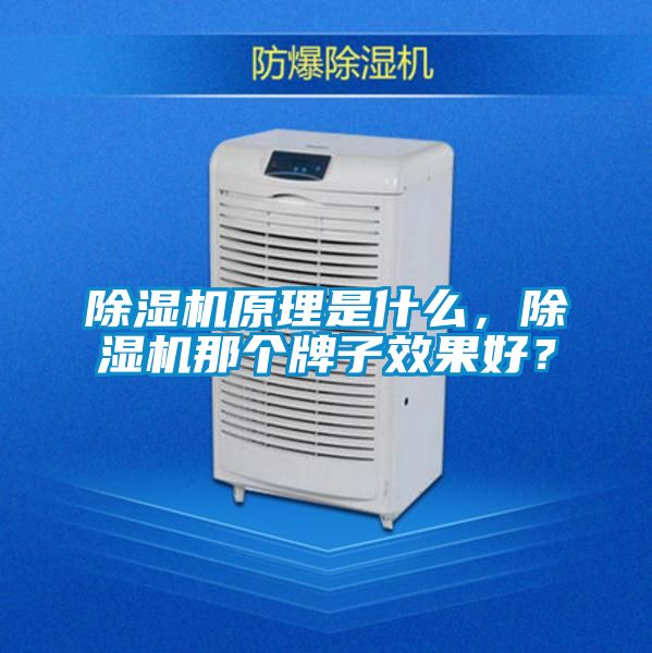 除濕機原理是什么，除濕機那個牌子效果好？