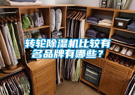 轉(zhuǎn)輪除濕機(jī)比較有名品牌有哪些？