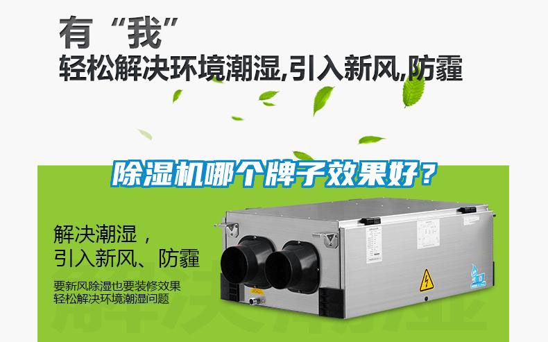 除濕機(jī)哪個(gè)牌子效果好？
