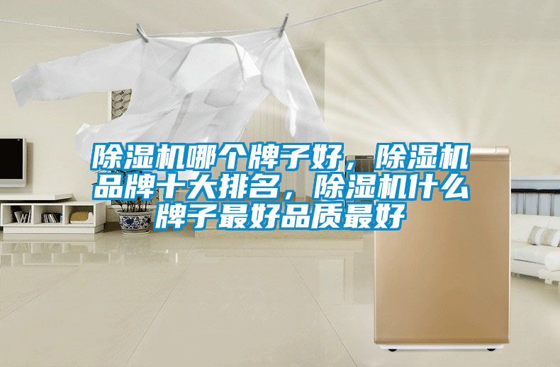 除濕機哪個牌子好，除濕機品牌十大排名，除濕機什么牌子最好品質(zhì)最好