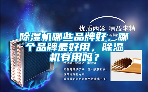 除濕機哪些品牌好，哪個品牌最好用，除濕機有用嗎？