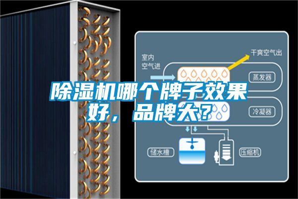 除濕機哪個牌子效果好，品牌大？