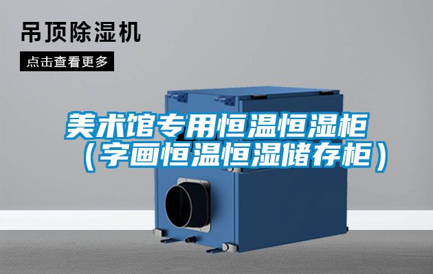 美術館專用恒溫恒濕柜（字畫恒溫恒濕儲存柜）