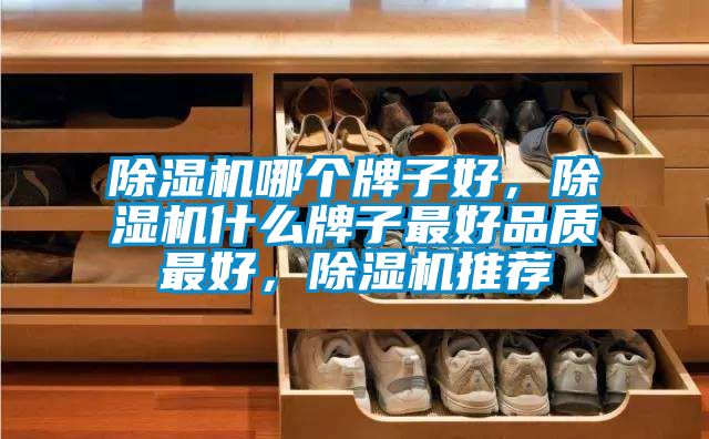 除濕機哪個牌子好，除濕機什么牌子最好品質(zhì)最好，除濕機推薦