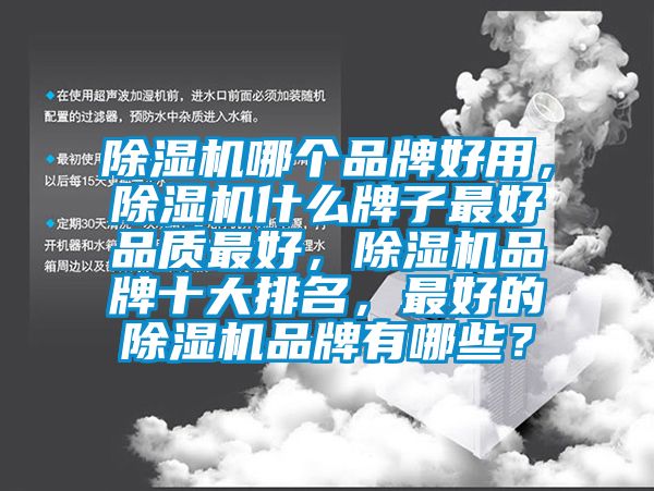 除濕機(jī)哪個(gè)品牌好用，除濕機(jī)什么牌子最好品質(zhì)最好，除濕機(jī)品牌十大排名，最好的除濕機(jī)品牌有哪些？