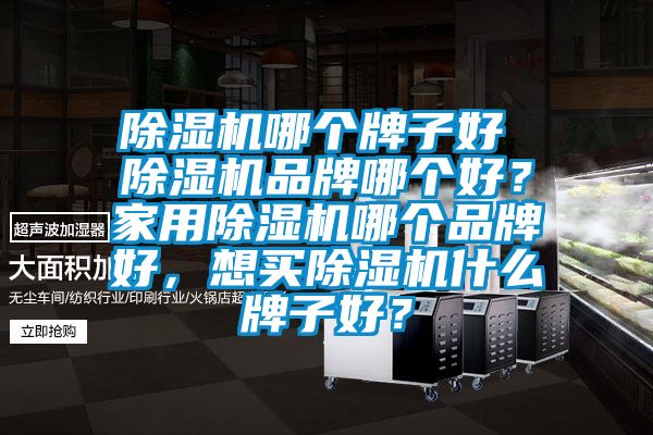除濕機哪個牌子好 除濕機品牌哪個好？家用除濕機哪個品牌好，想買除濕機什么牌子好？