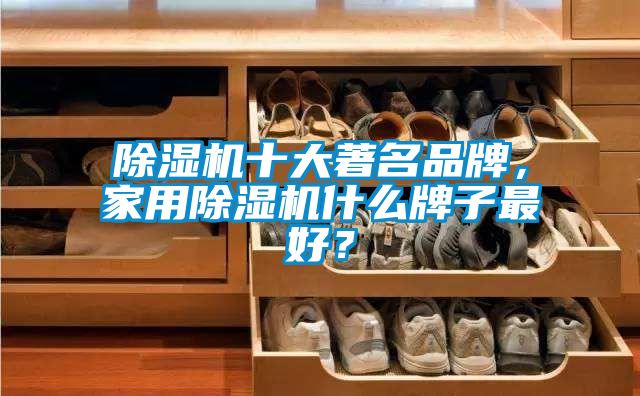 除濕機(jī)十大著名品牌，家用除濕機(jī)什么牌子最好？