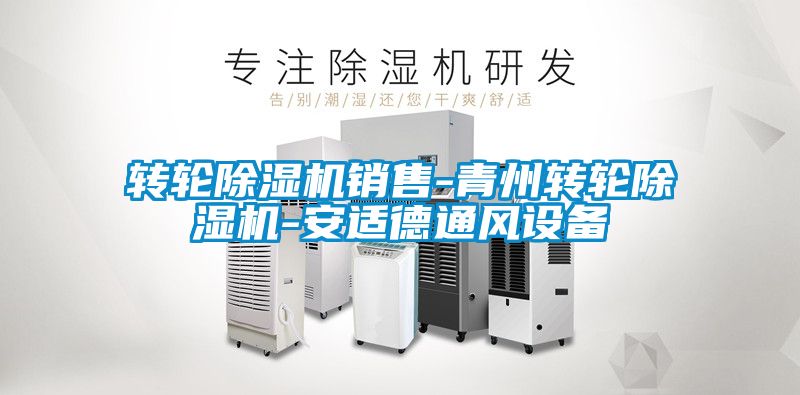 轉(zhuǎn)輪除濕機銷售-青州轉(zhuǎn)輪除濕機-安適德通風設(shè)備