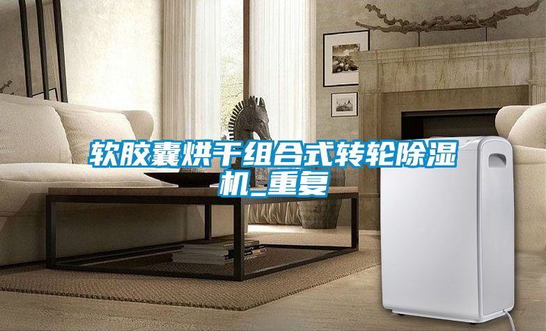 軟膠囊烘干組合式轉(zhuǎn)輪除濕機_重復(fù)
