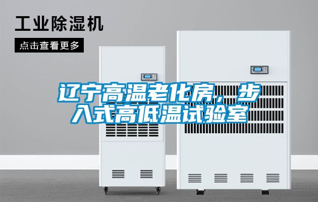 遼寧高溫老化房，步入式高低溫試驗室