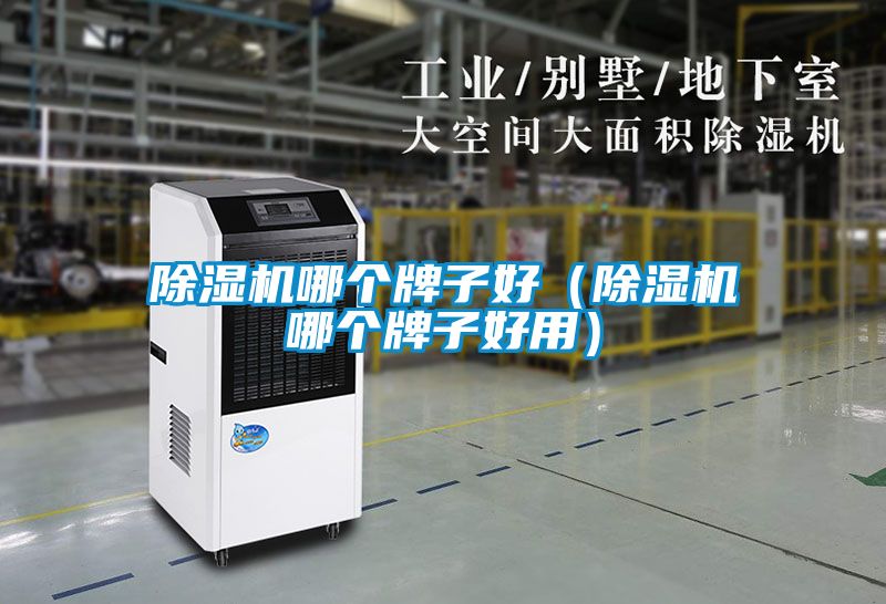 除濕機哪個牌子好（除濕機哪個牌子好用）