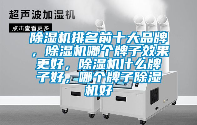 除濕機(jī)排名前十大品牌，除濕機(jī)哪個(gè)牌子效果更好，除濕機(jī)什么牌子好，哪個(gè)牌子除濕機(jī)好