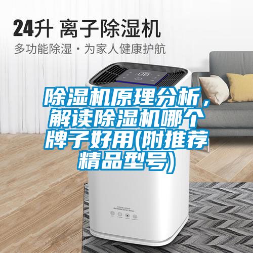除濕機原理分析，解讀除濕機哪個牌子好用(附推薦精品型號)