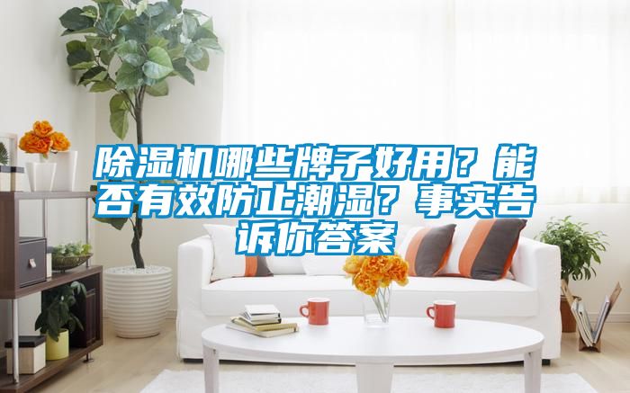除濕機(jī)哪些牌子好用？能否有效防止潮濕？事實(shí)告訴你答案