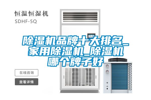 除濕機(jī)品牌十大排名_家用除濕機(jī)_除濕機(jī)哪個(gè)牌子好