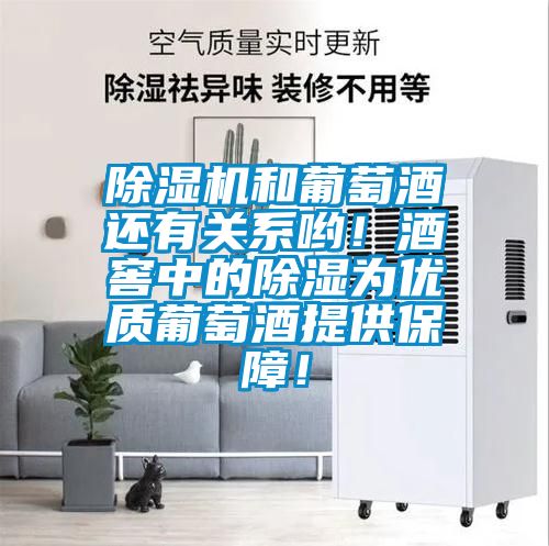 除濕機(jī)和葡萄酒還有關(guān)系喲！酒窖中的除濕為優(yōu)質(zhì)葡萄酒提供保障！