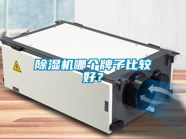 除濕機(jī)哪個(gè)牌子比較好？
