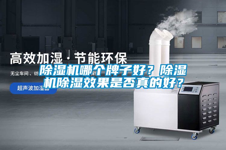 除濕機哪個牌子好？除濕機除濕效果是否真的好？