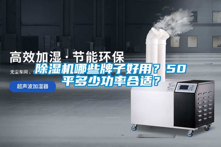 除濕機(jī)哪些牌子好用？50平多少功率合適？