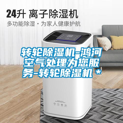 轉輪除濕機-鴻河空氣處理為您服務-轉輪除濕機＊