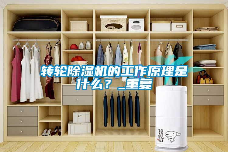 轉(zhuǎn)輪除濕機(jī)的工作原理是什么？_重復(fù)