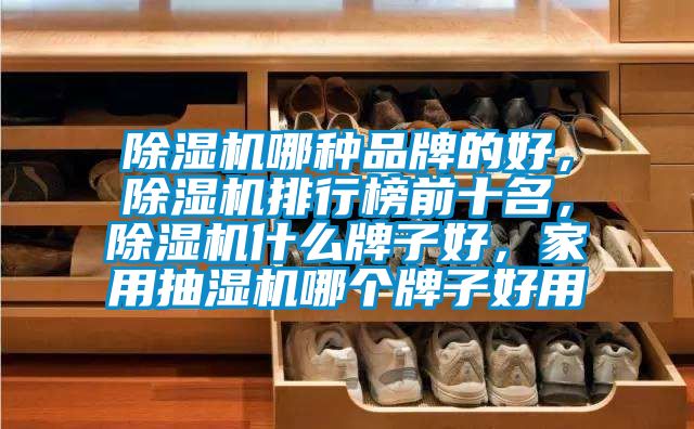 除濕機哪種品牌的好，除濕機排行榜前十名，除濕機什么牌子好，家用抽濕機哪個牌子好用
