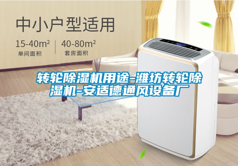 轉輪除濕機用途-濰坊轉輪除濕機-安適德通風設備廠