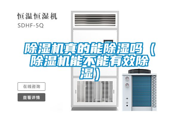 除濕機(jī)真的能除濕嗎（除濕機(jī)能不能有效除濕）