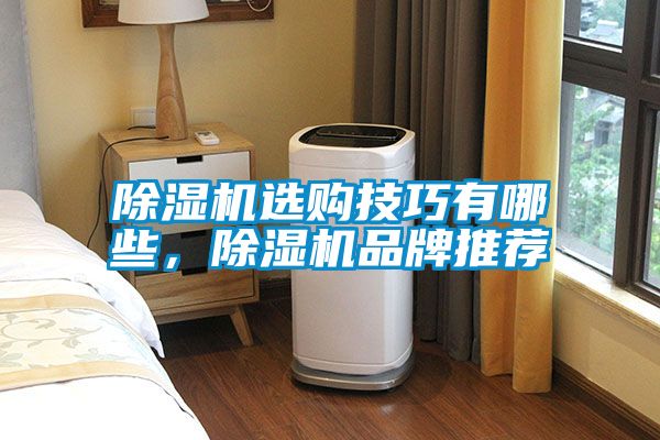 除濕機選購技巧有哪些，除濕機品牌推薦