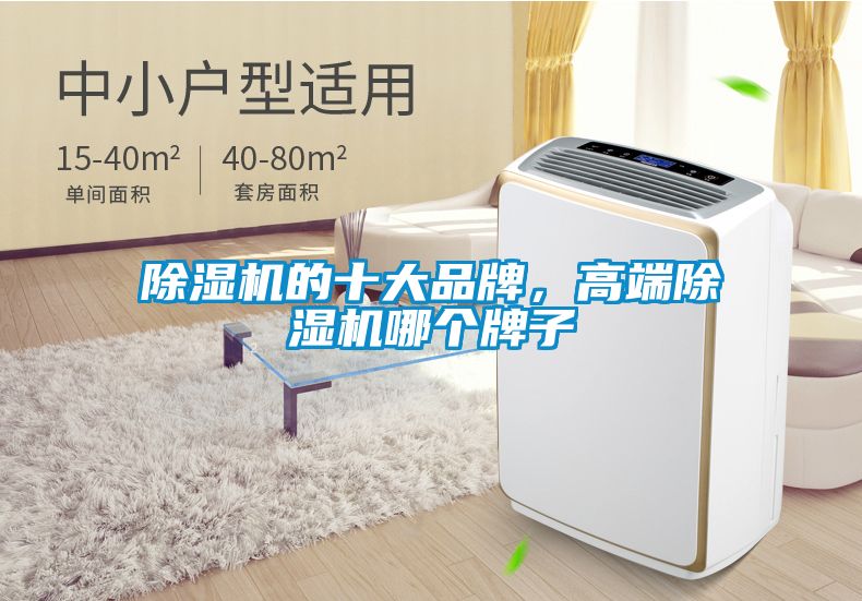 除濕機(jī)的十大品牌，高端除濕機(jī)哪個牌子