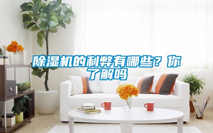 除濕機(jī)的利弊有哪些？你了解嗎