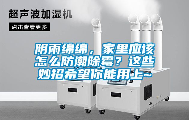 陰雨綿綿，家里應(yīng)該怎么防潮除霉？這些妙招希望你能用上~
