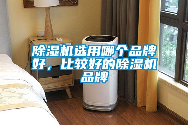 除濕機(jī)選用哪個(gè)品牌好，比較好的除濕機(jī)品牌