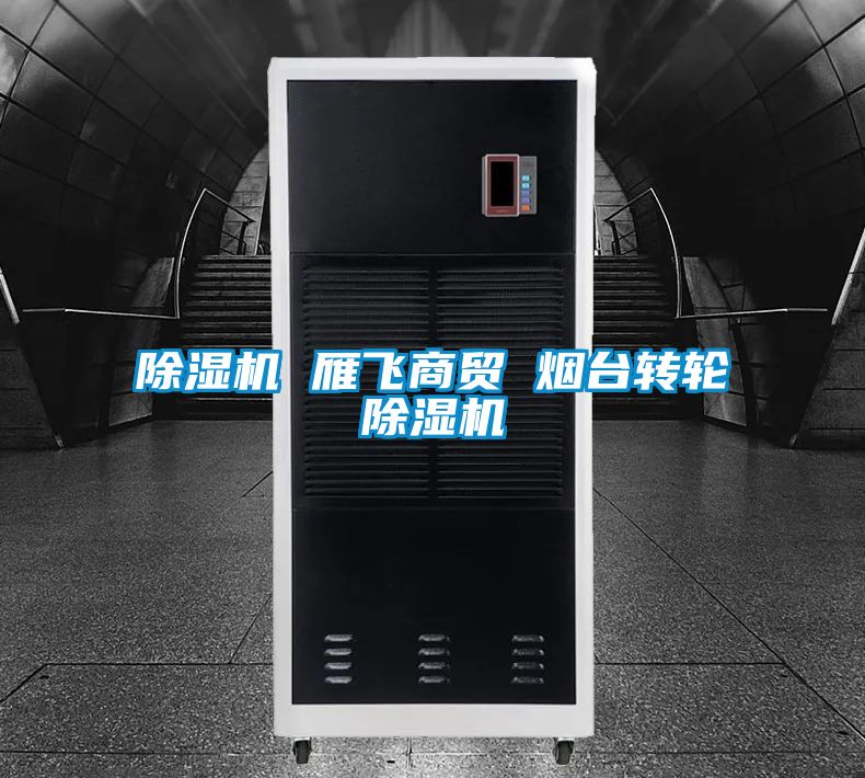 除濕機 雁飛商貿(mào) 煙臺轉(zhuǎn)輪除濕機