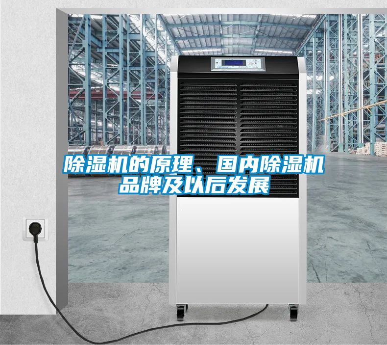 除濕機的原理、國內(nèi)除濕機品牌及以后發(fā)展