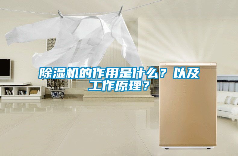 除濕機(jī)的作用是什么？以及工作原理？
