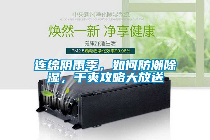 連綿陰雨季，如何防潮除濕，干爽攻略大放送