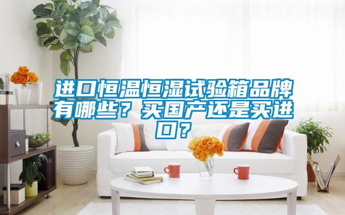進(jìn)口恒溫恒濕試驗箱品牌有哪些？買國產(chǎn)還是買進(jìn)口？