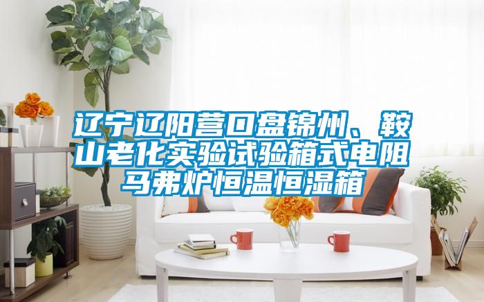 遼寧遼陽營口盤錦州、鞍山老化實驗試驗箱式電阻馬弗爐恒溫恒濕箱