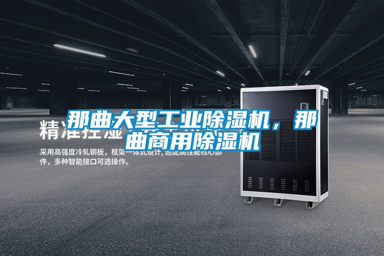 那曲大型工業(yè)除濕機(jī)，那曲商用除濕機(jī)