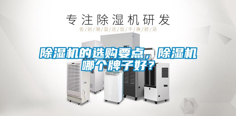 除濕機(jī)的選購(gòu)要點(diǎn)，除濕機(jī)哪個(gè)牌子好？